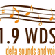 Logo de 91.9 WDSV - WDSV