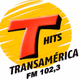 Logo de Transamérica Vale
