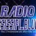 Logo de Radio Mississipi_Blues