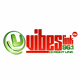 Logo de Vibes Link FM