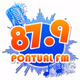Logo de Rádio Pontual FM