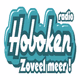 Logo de Hoboken Radio