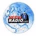 Logo de Nepal11Radio
