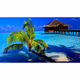 Logo de Miled Music - Tropical