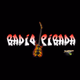 Radio Pirada logo