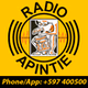 Apintie Radio logo