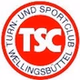 welle2 logo