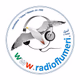 Logo de Radio Flumeri